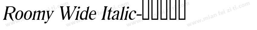 Roomy Wide Italic字体转换